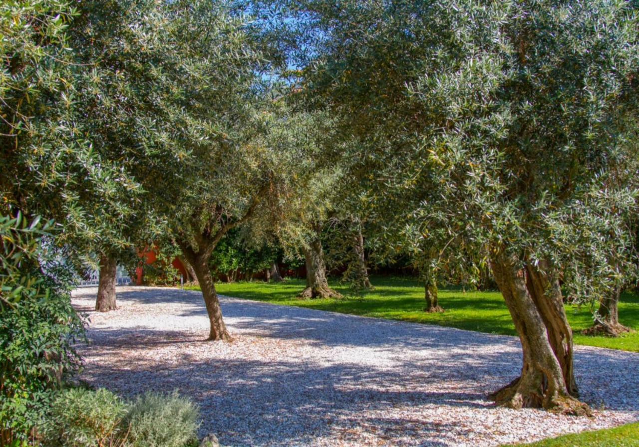Villa Agave